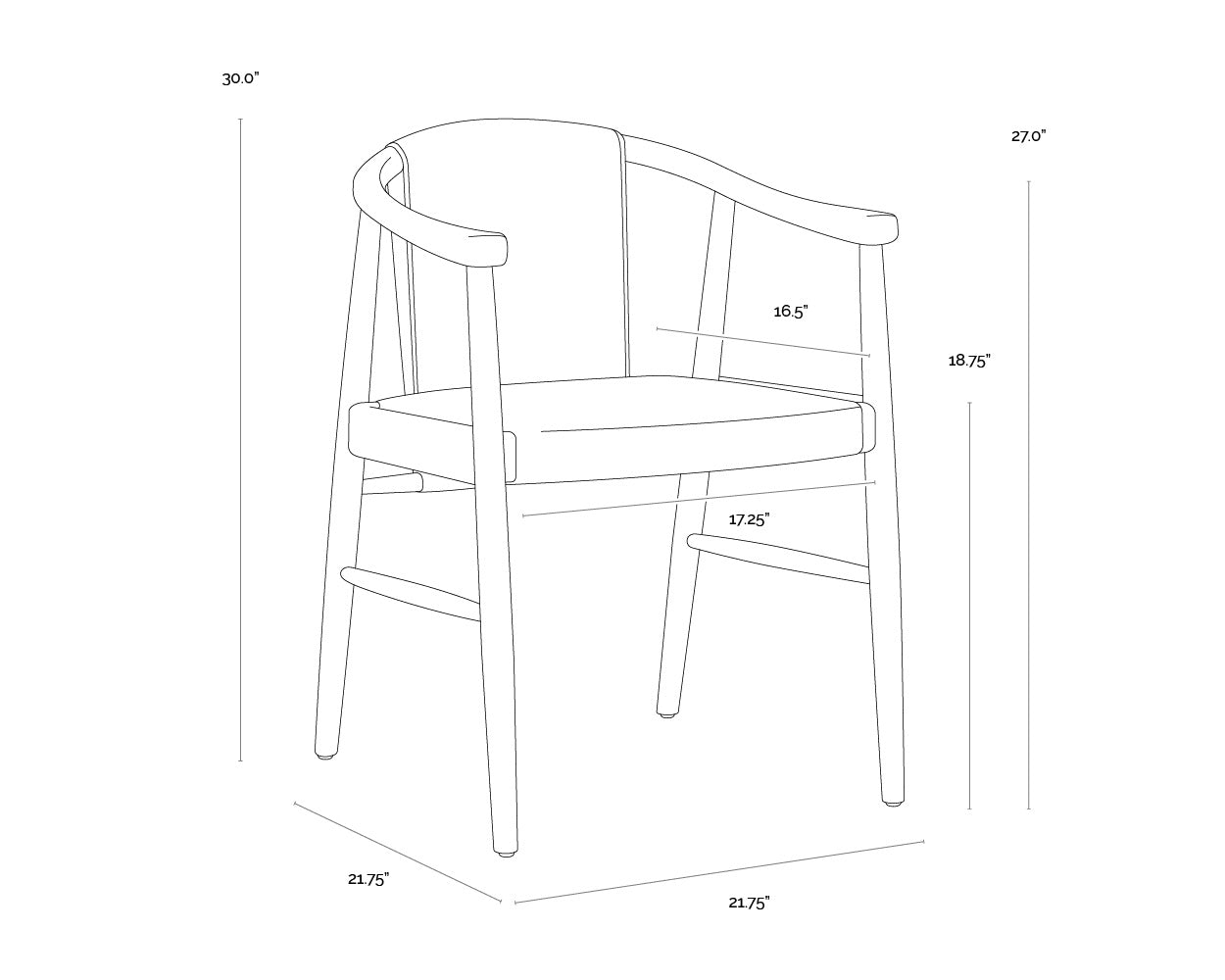 Arani Dining Armchair