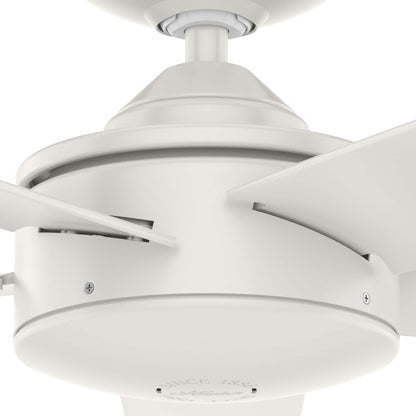 Hunter 52 Shorebreak WeatherMax Indoor / Outdoor Ceiling Fan w/ Wall Control - Extreme Weather, Salt & Corrosion-Resistant