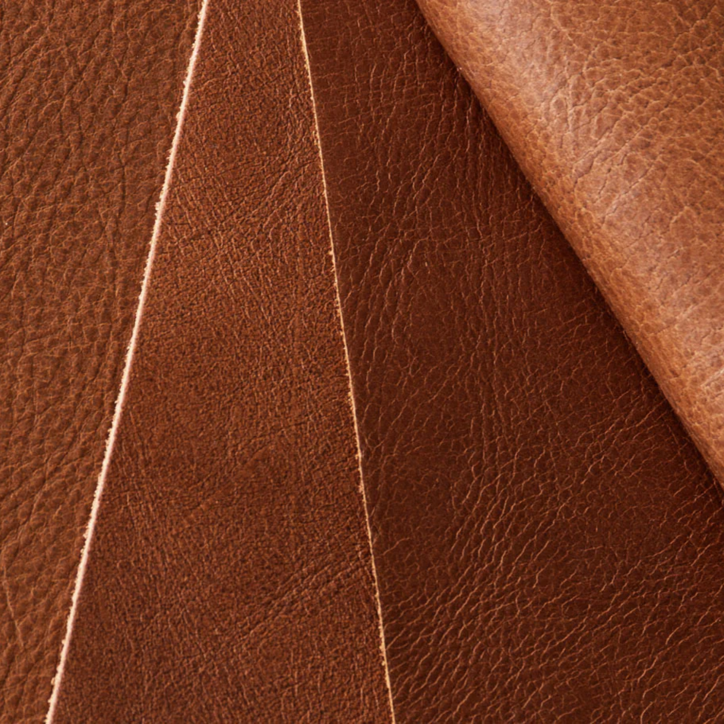 Gus* Modern Lecture Upholstered Counter Stool